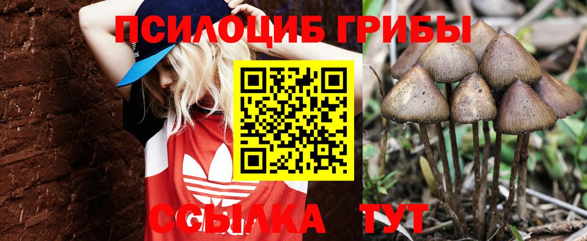 Псилоцибиновые грибы MAGIC MUSHROOMS  Вход с VPN  Мичуринск 