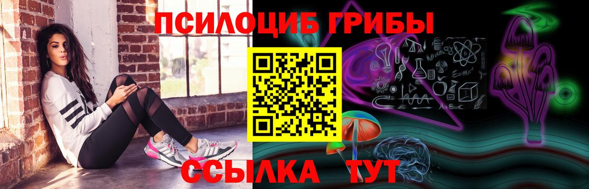 Псилоцибиновые грибы Psilocybe Мичуринск