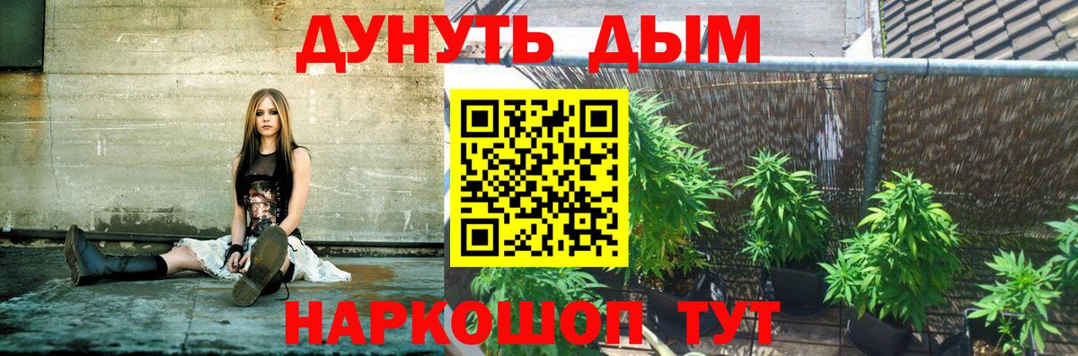Мичуринск  Канабис SATIVA & INDICA  Бошки Шишки Amnesia  Вход с VPN 